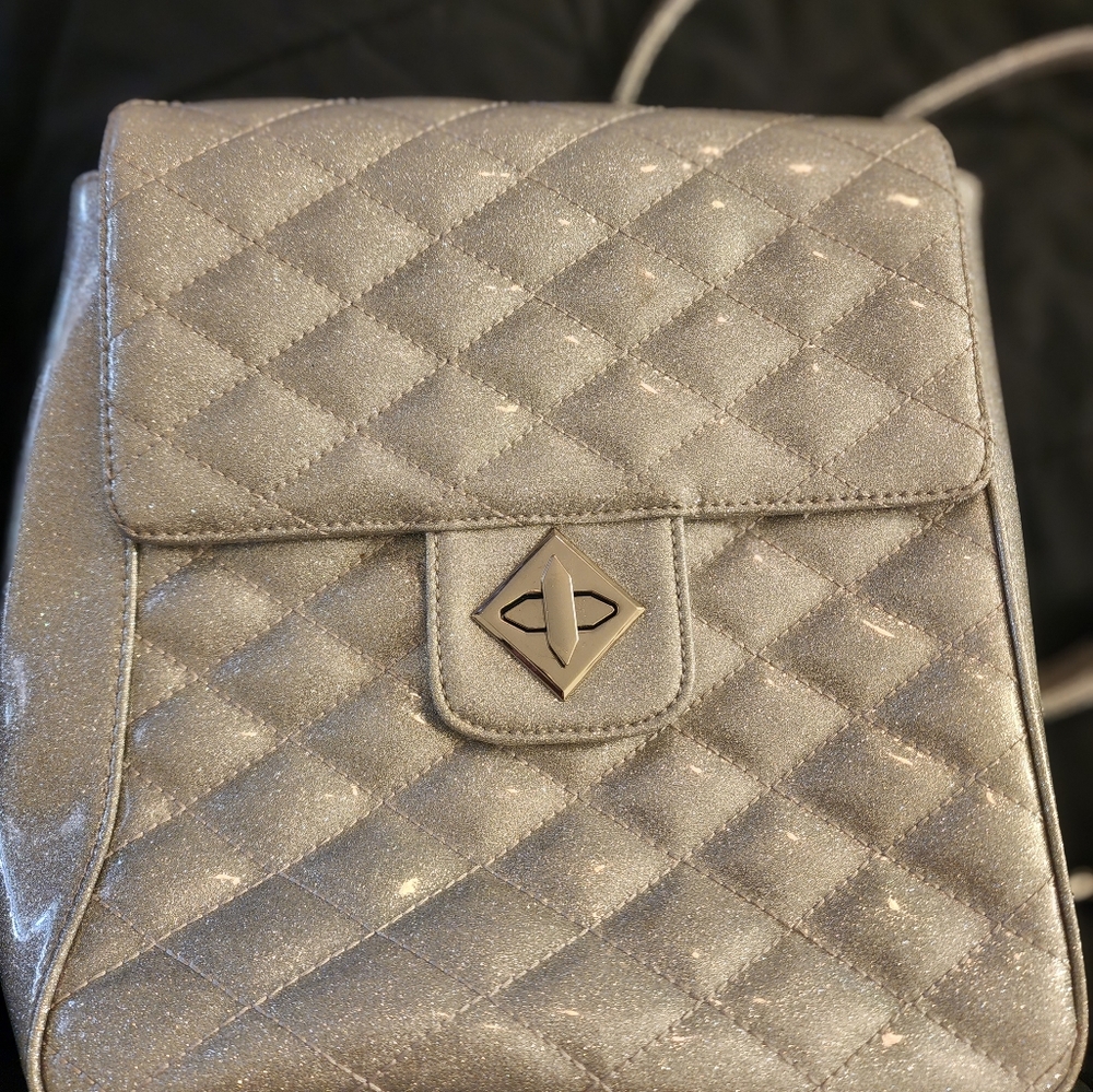 Silver backpack